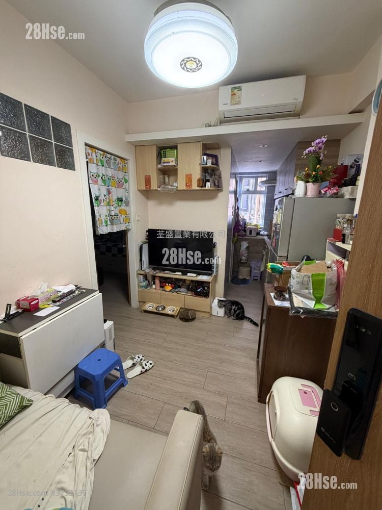 厅: 荃湾单幢式洋楼 售盘 1 房 , 1 浴室 307 平方尺