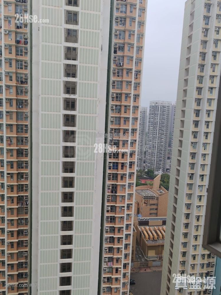 Tin Shing Court Sell 3 Bedrooms 594 ft²