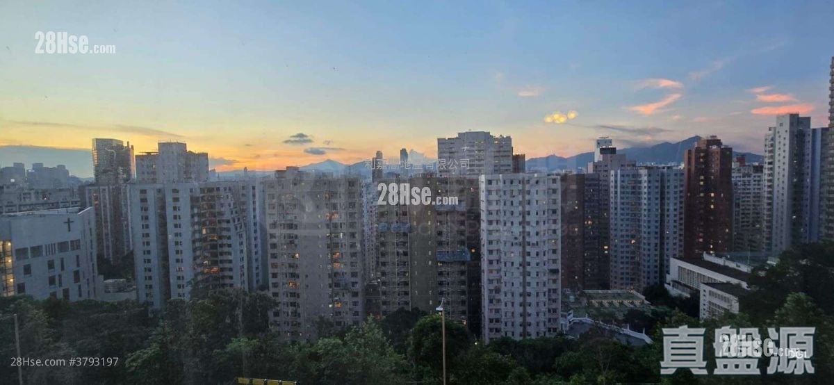 珊瑚阁 售盘 3 房 1,173 平方尺