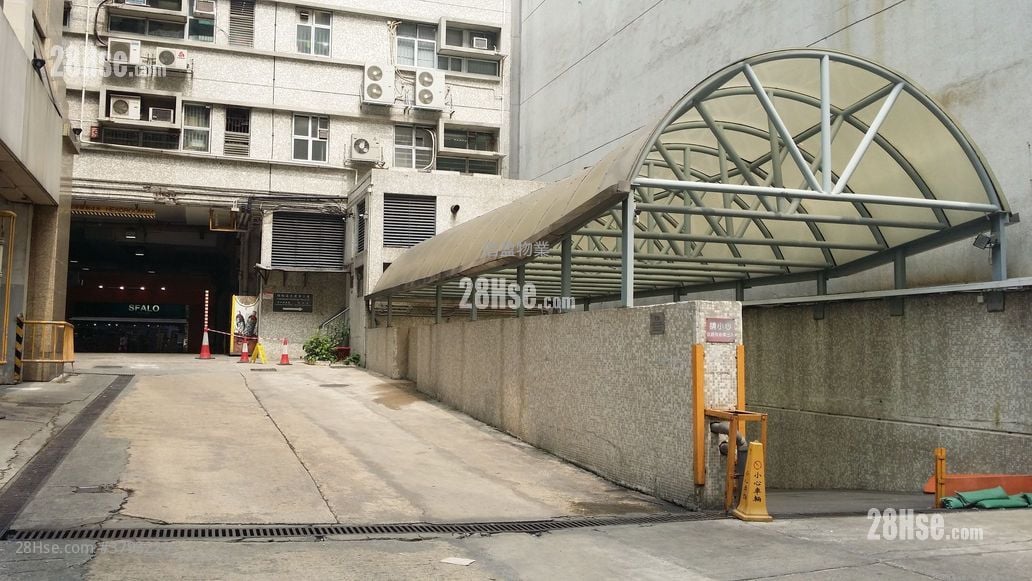 Camel Paint Building Sell