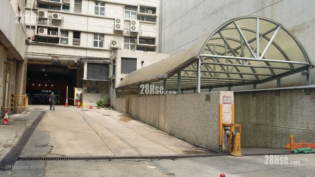 Camel Paint Building Sell