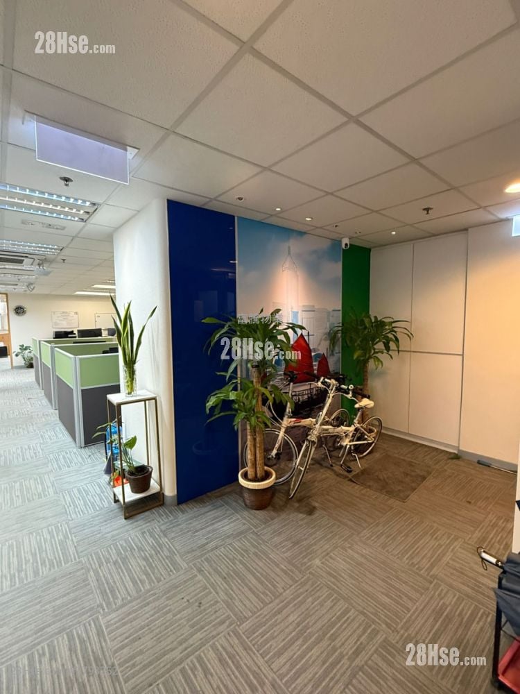 火炭優質全寫裝 Rental