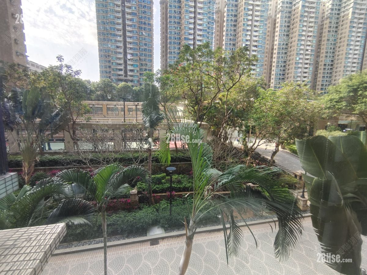 珀丽湾 租盘 2 房 , 1 浴室 531 平方尺