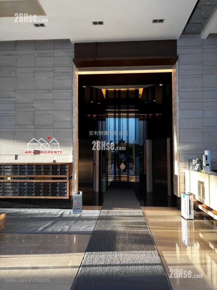 Coastal Skyline Sell Studio , 1 Bathroom 518 ft²