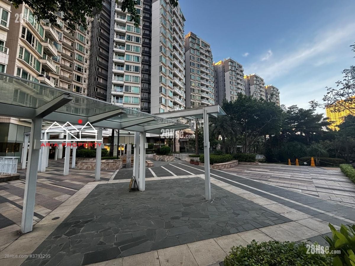 Coastal Skyline Sell Studio , 1 Bathroom 518 ft²