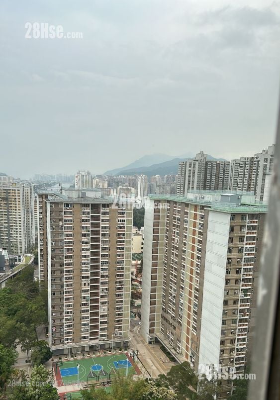 Golden Lion Garden Rental 1 Bedroom , 1 Bathroom 266 ft²