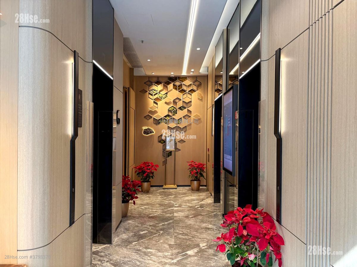 Kennedy 38 租盘 开放式间隔 , 1 浴室 260 平方尺