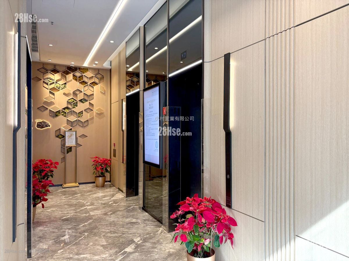 Kennedy 38 租盘 开放式间隔 , 1 浴室 260 平方尺