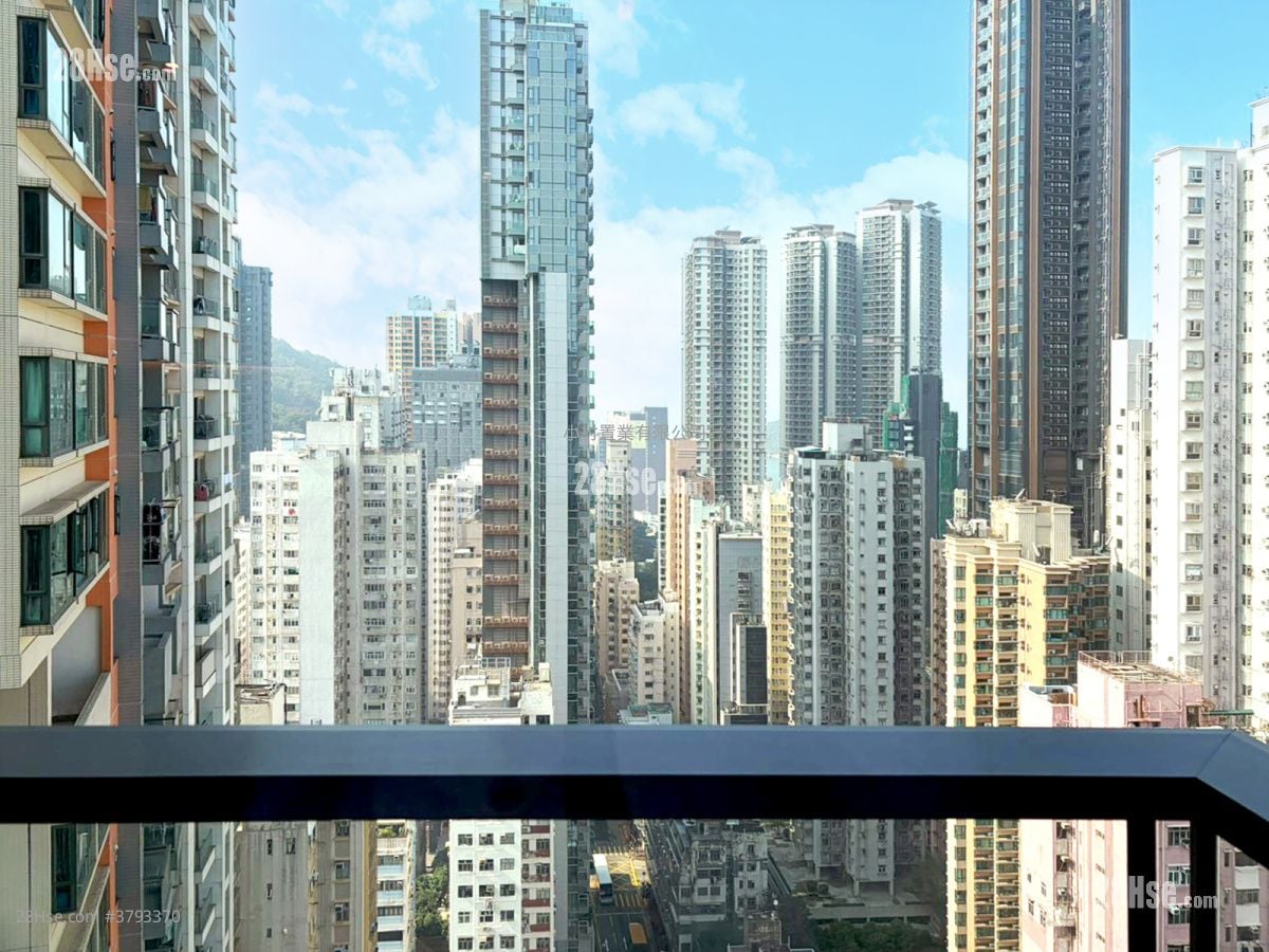 景观: Kennedy 38 租盘 开放式间隔 , 1 浴室 260 平方尺