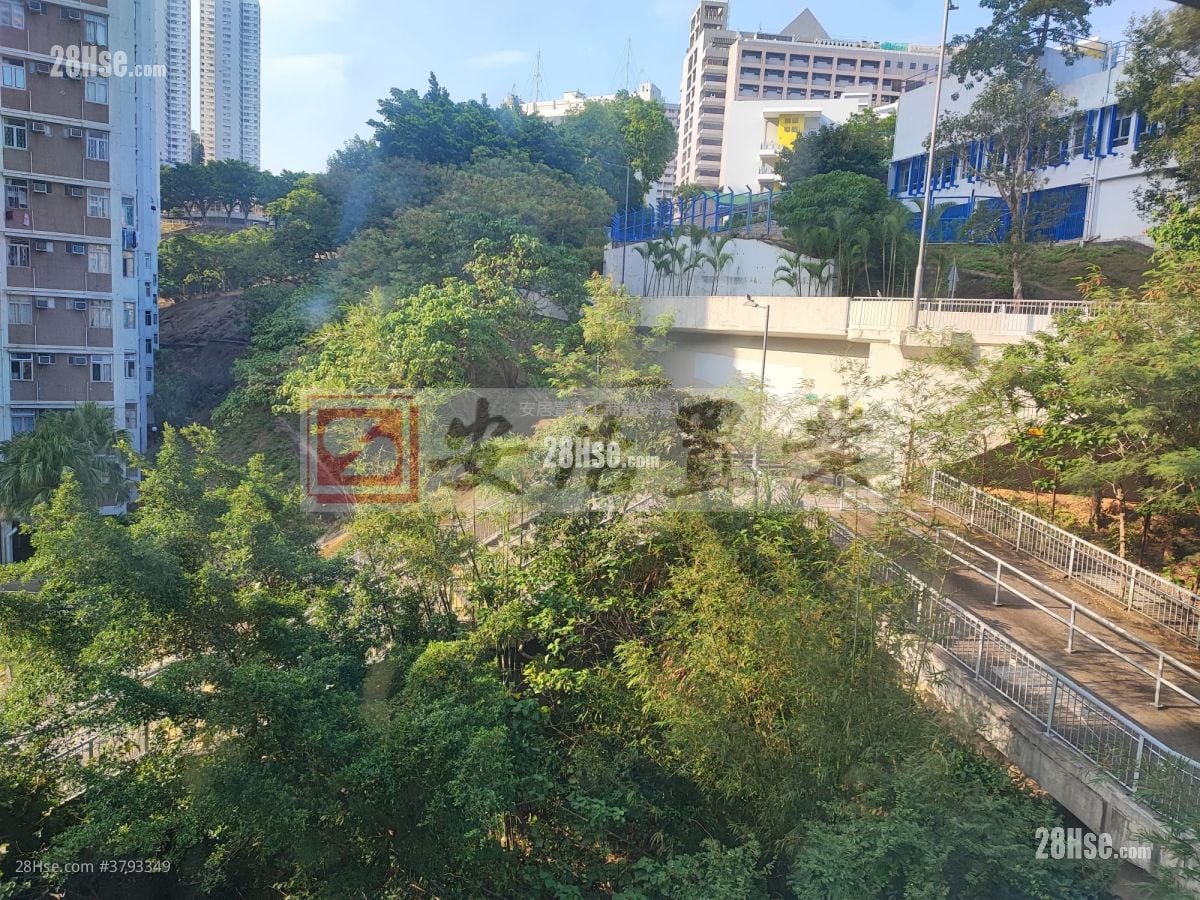 Fortune Factory Building Rental