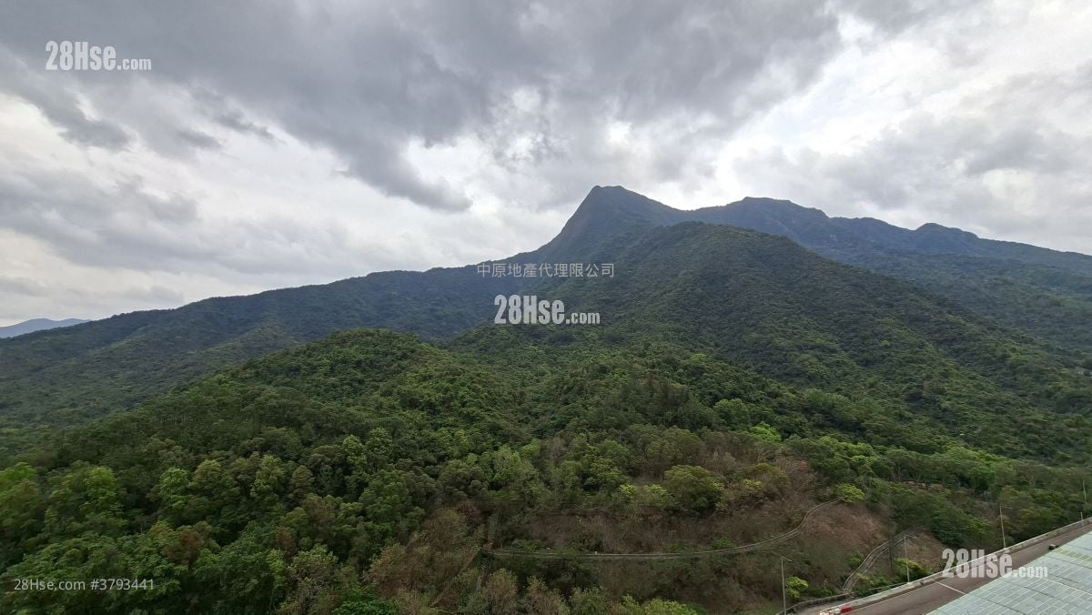 Monte Vista Sell 1 Bedroom , 2 Bathrooms 1,037 ft²