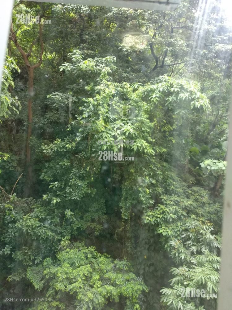 Sunny Court Sell 2 Bedrooms , 1 Bathroom 340 ft²