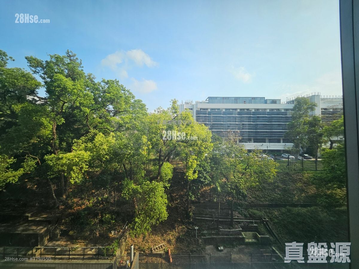 Paxton Sell 4 Bedrooms 1,664 ft²