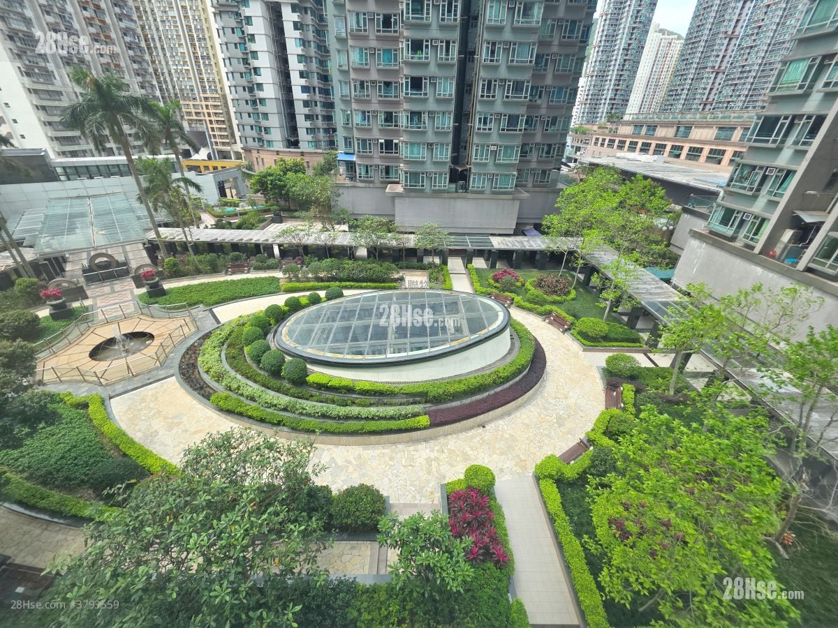 新都城 租盘 2 房 , 1 浴室 364 平方尺