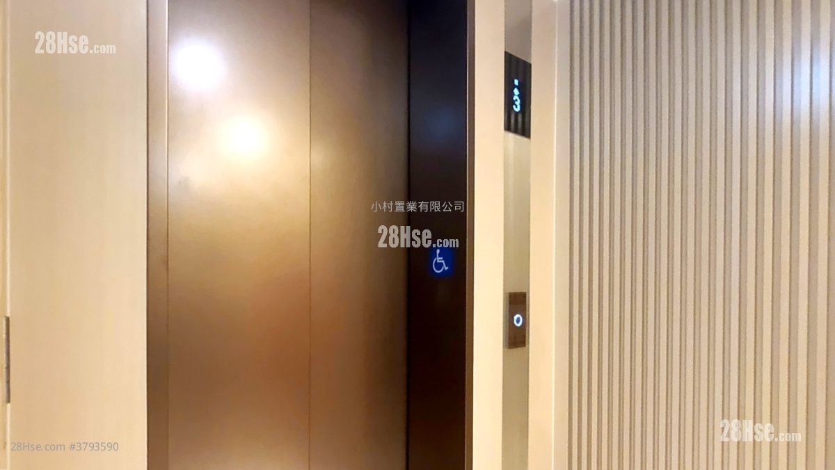 other: Elevator