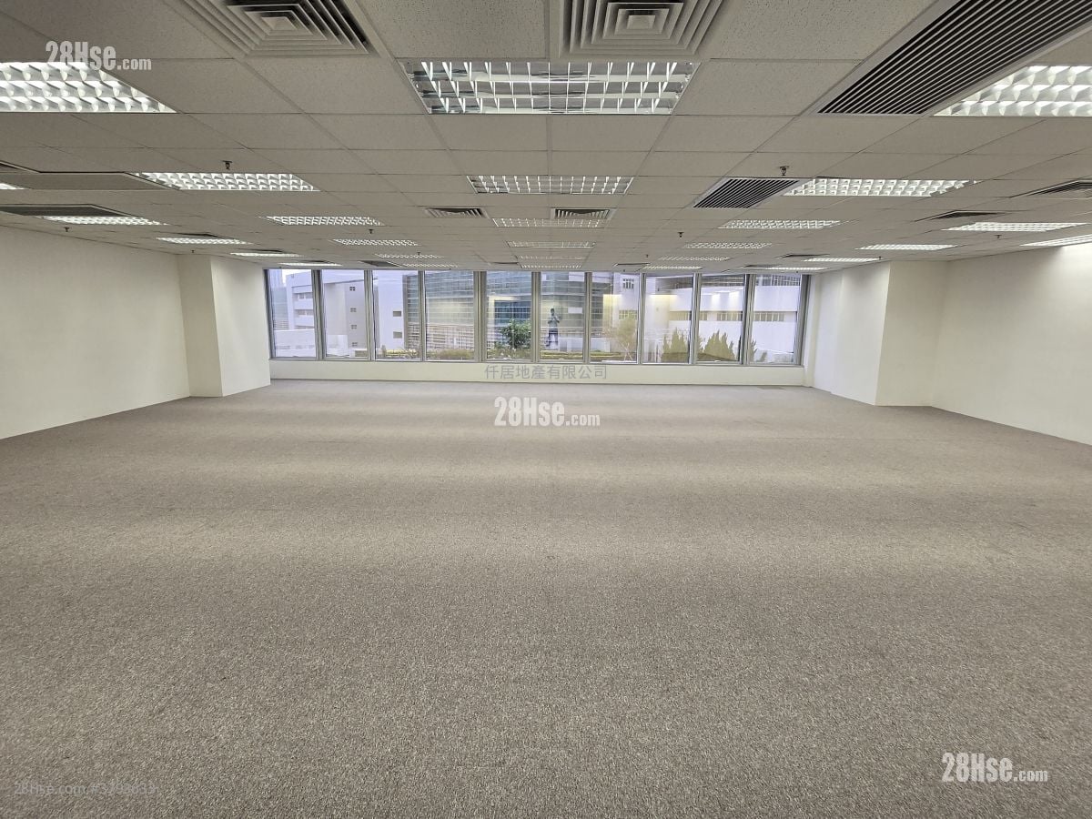 Skyline Tower Rental