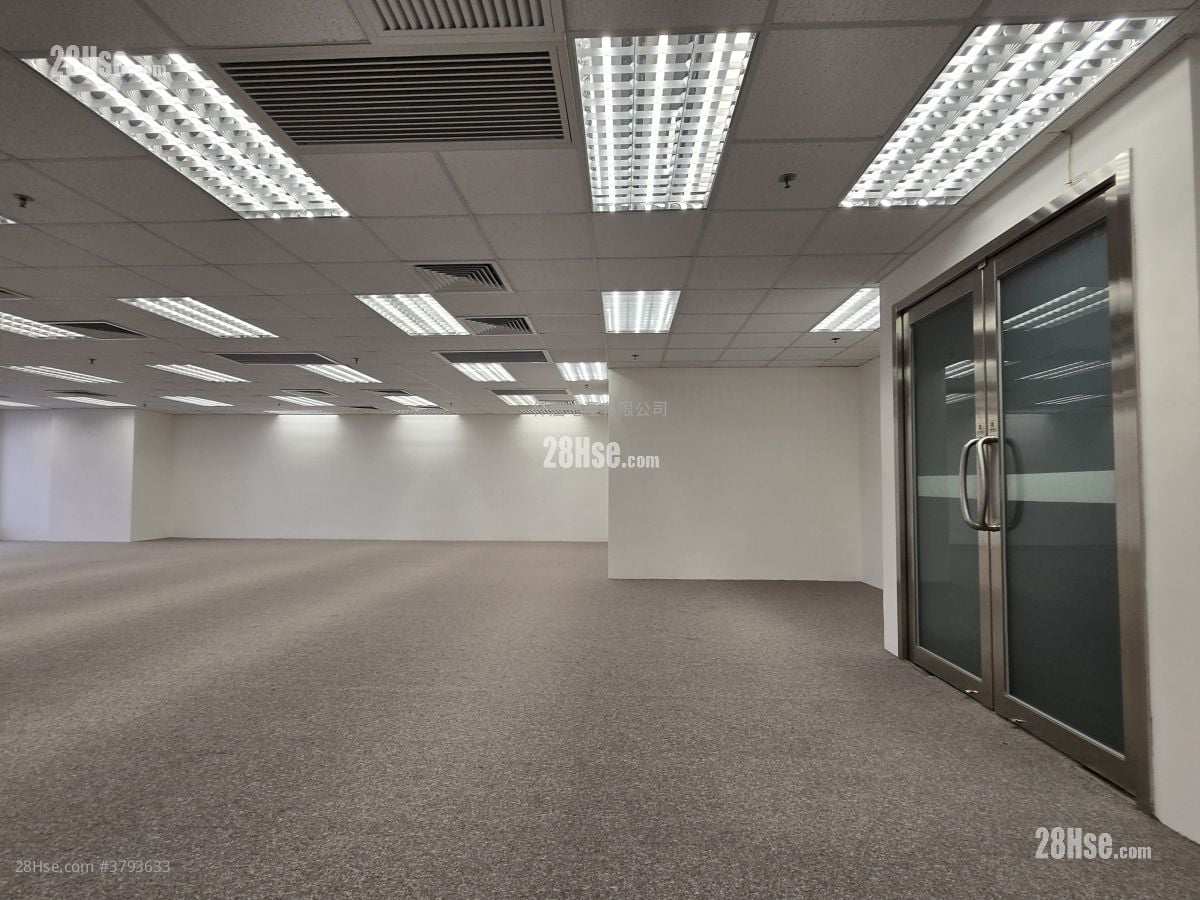 Skyline Tower Rental