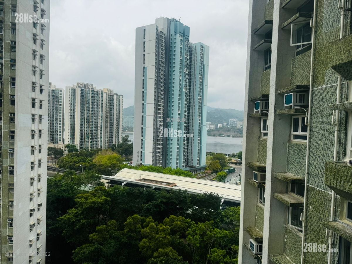 锦鞍苑 售盘 2 房 , 1 浴室 401 平方尺