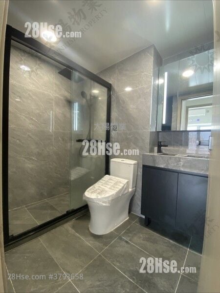 都会轩 租盘 2 房 490 平方尺