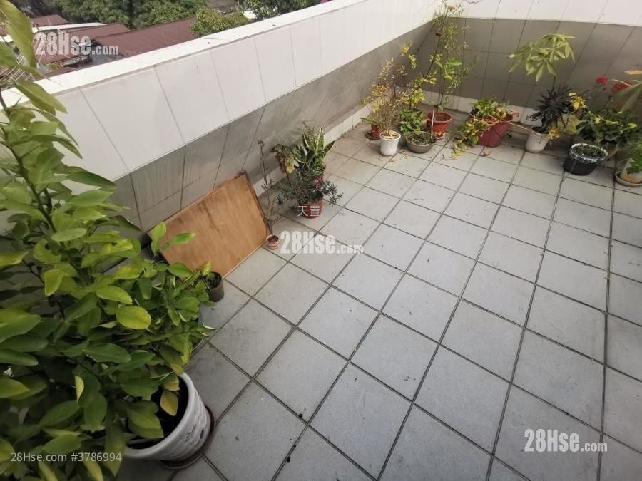 桃园围 售盘 3 房 , 2 浴室 700 平方尺