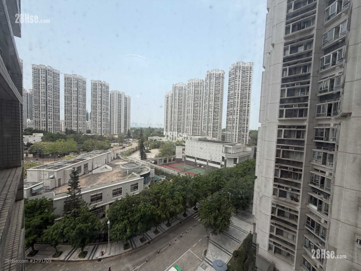 Kingswood Villas Rental 3 Bedrooms , 1 Bathroom 547 ft²