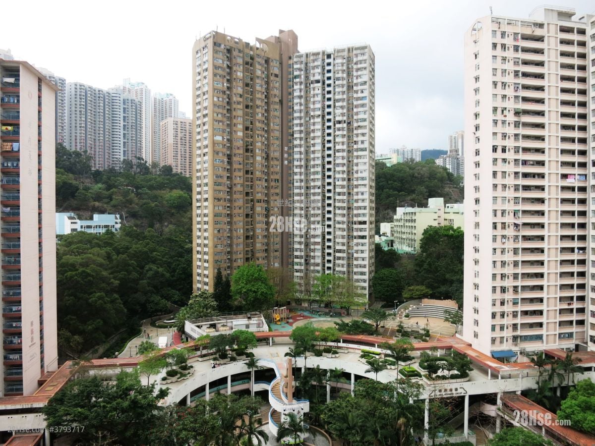 翠屏北邨 租盘 开放式间隔 , 1 浴室 355 平方尺