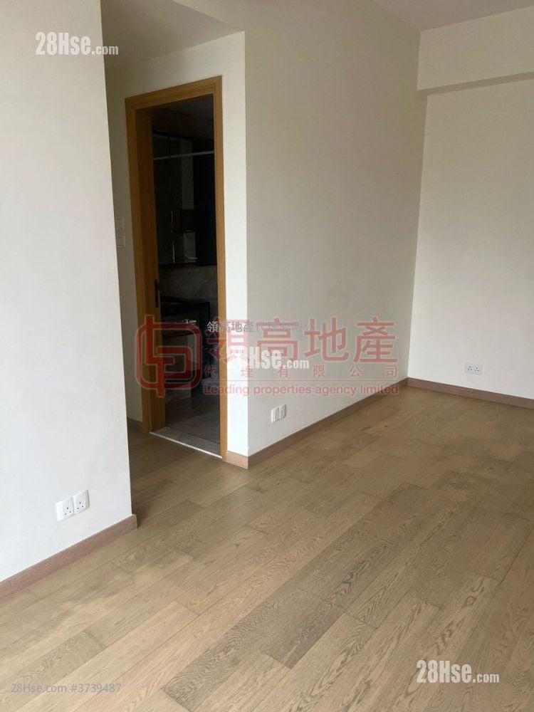 Grand Austin 租盤 2 房 , 1 浴室 540 平方呎