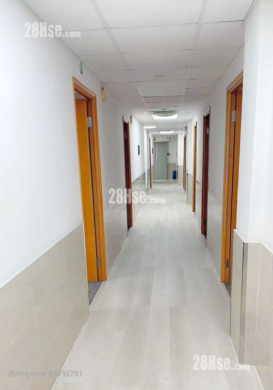 美德工业大厦 租盘 1 房 , 5+ 厕所