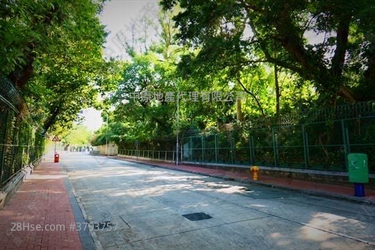 布力架街28-30号 售盘 5+ 房 2,153 平方尺