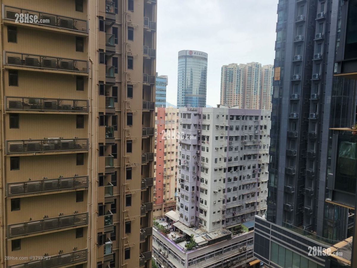 Eltanin Square Mile Rental 1 Bedroom , 1 Bathroom 256 ft²