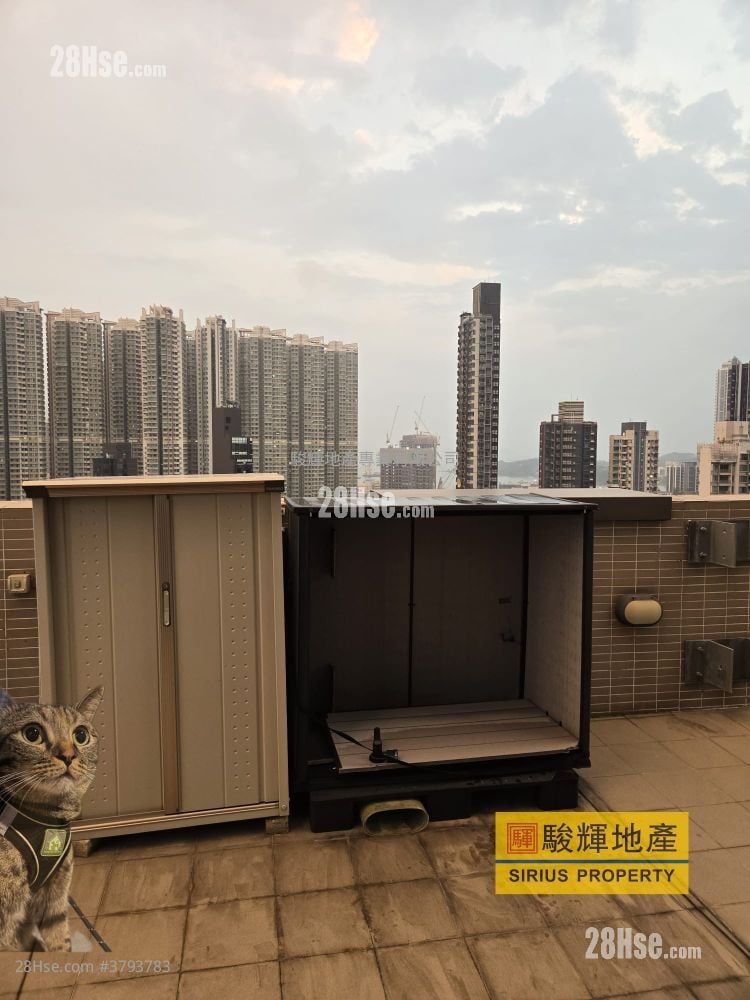 Ava228 Rental Studio , 1 Bathroom 151 ft²