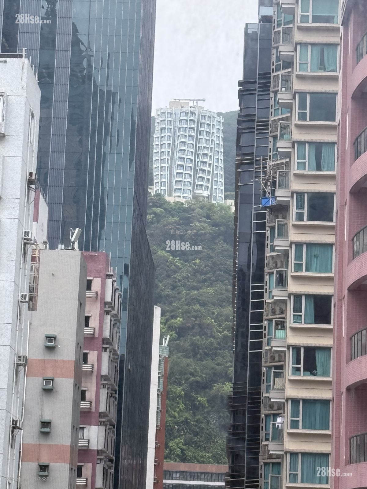 112 Johnston Road Rental Studio , 1 Bathroom 233 ft²