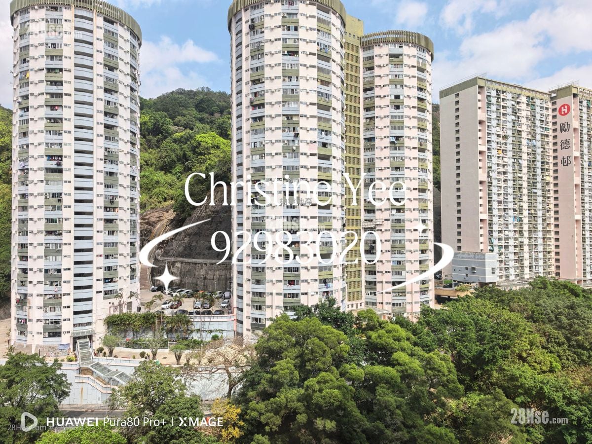 龙涛苑 租盘 2 房 , 1 浴室 516 平方尺