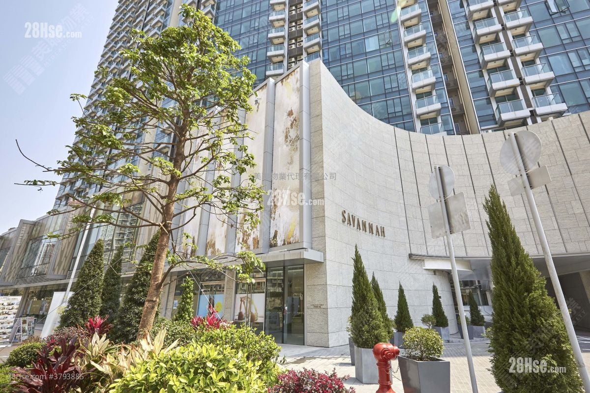 SAVANNAH 售盘 开放式间隔 , 1 浴室 331 平方尺