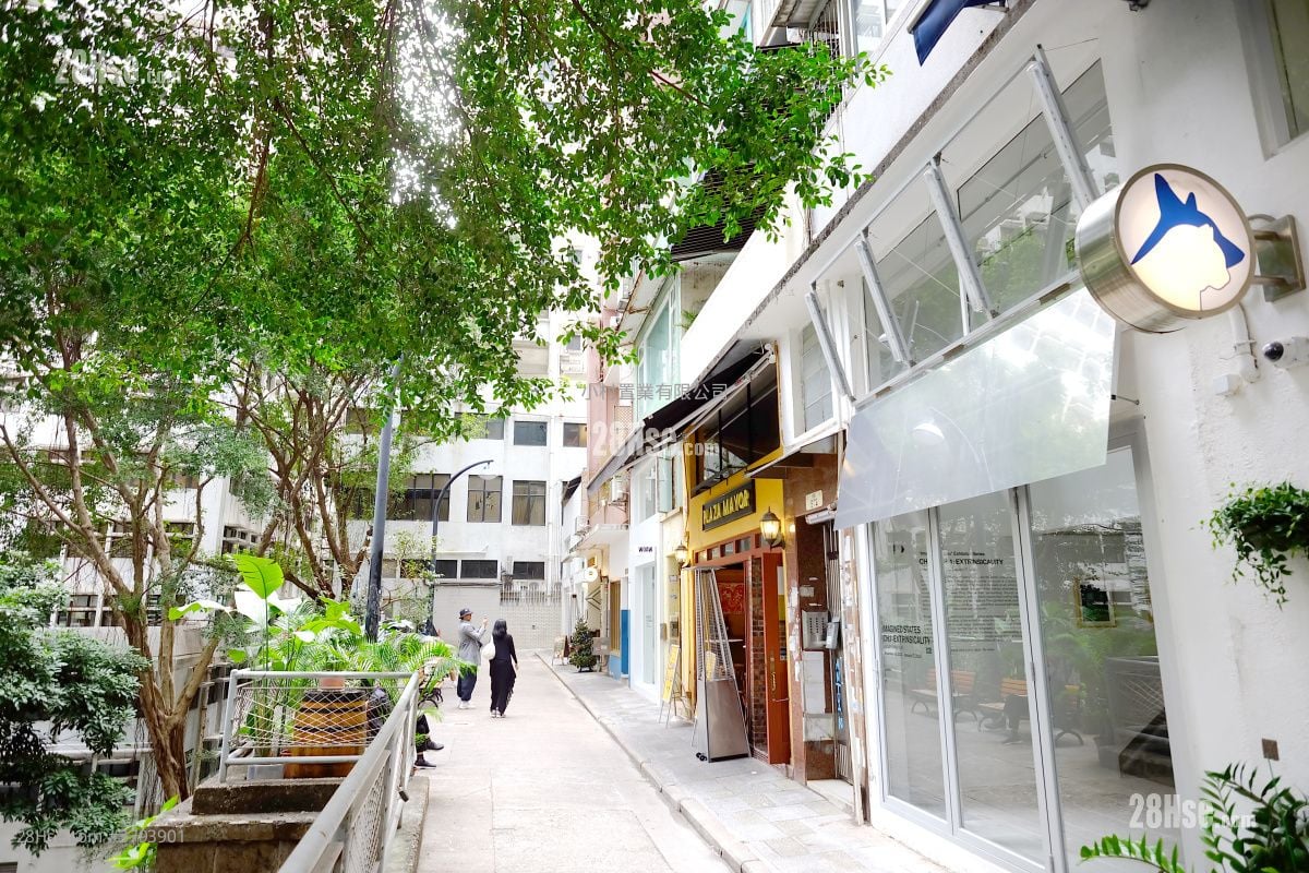 其它: 旭日楼 租盘 开放式间隔 , 1 浴室 304 平方尺