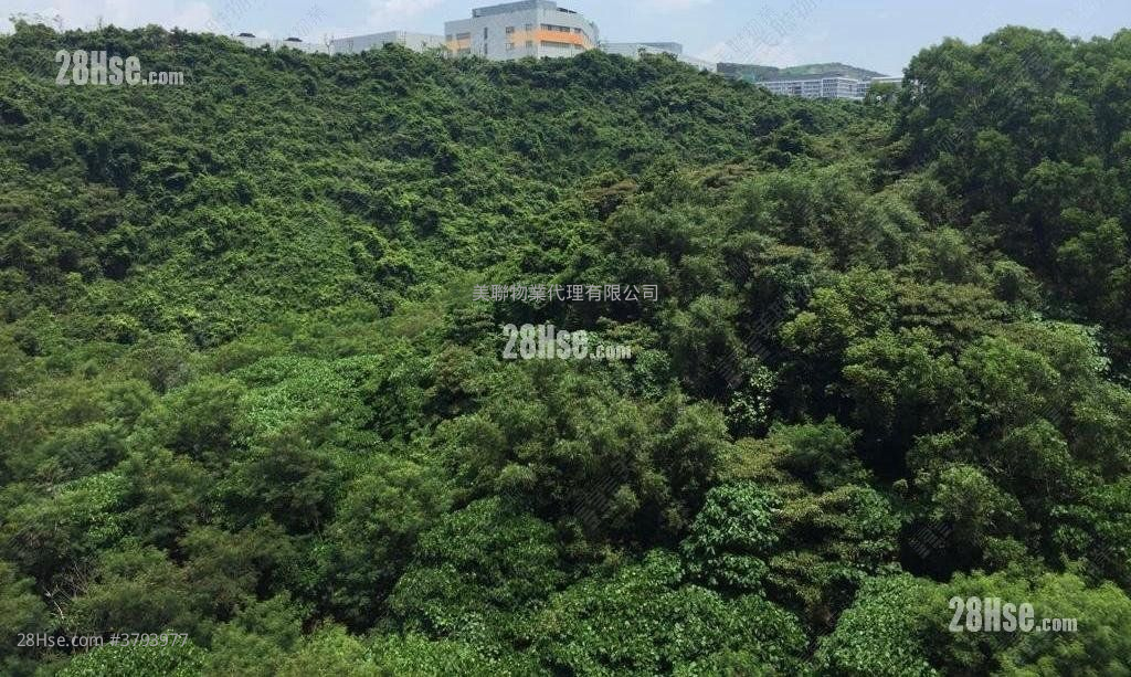 峻滢 售盘 2 房 499 平方尺