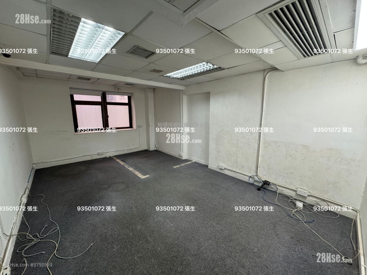 Witty Commercial Building Rental