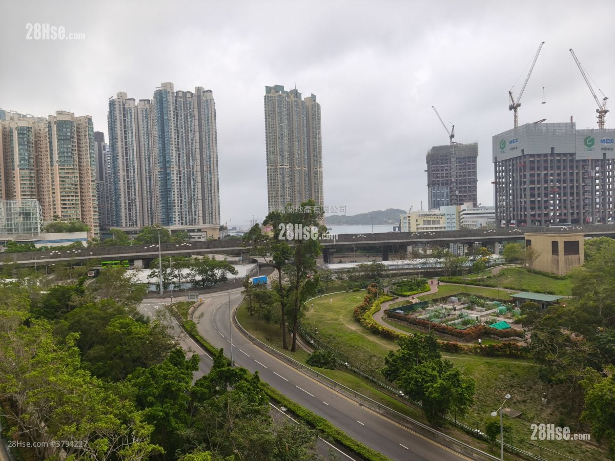 君汇港 租盘 2 房 , 1 浴室 541 平方尺