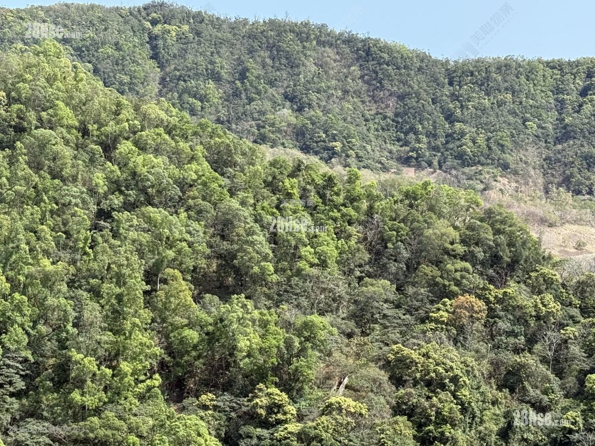 峻滢 售盘 2 房 , 1 浴室 509 平方尺