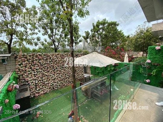 La Mansion Sell 5+ Bedrooms , 3 Bathrooms 1,589 ft²