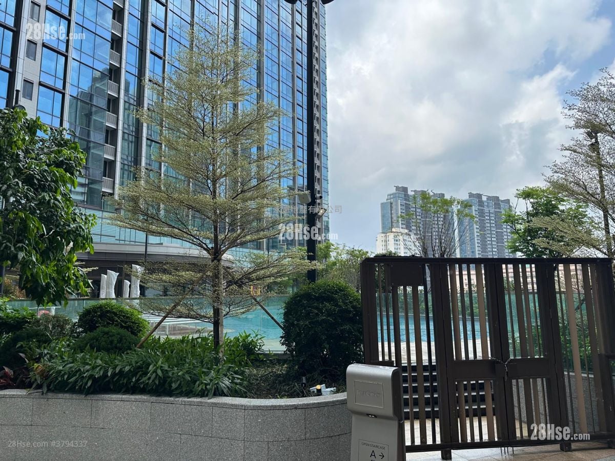 港岛南岸 租盘 3 房 , 3 浴室 796 平方尺