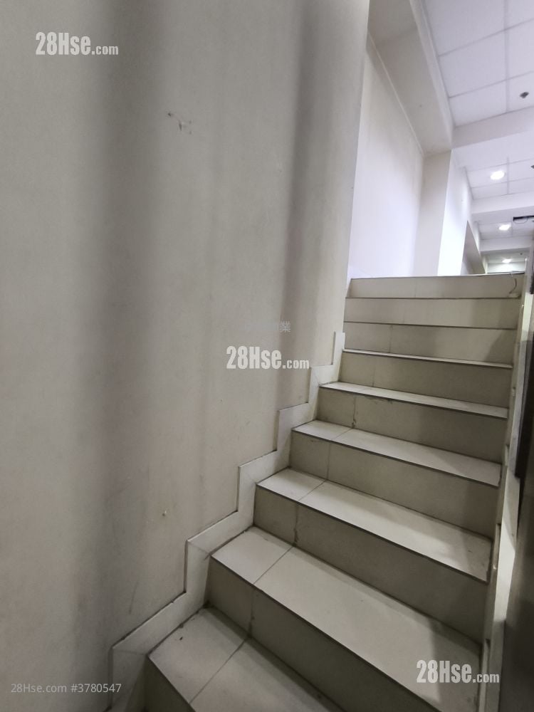 Trust Centre Rental 5+ Bedrooms , 2 Toilets 1,210 ft²