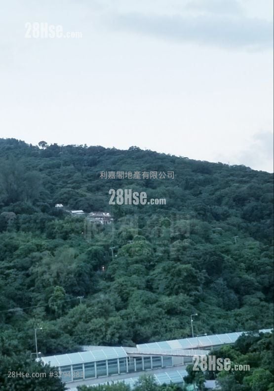 翠涛阁 售盘 3 房 , 2 浴室 703 平方尺