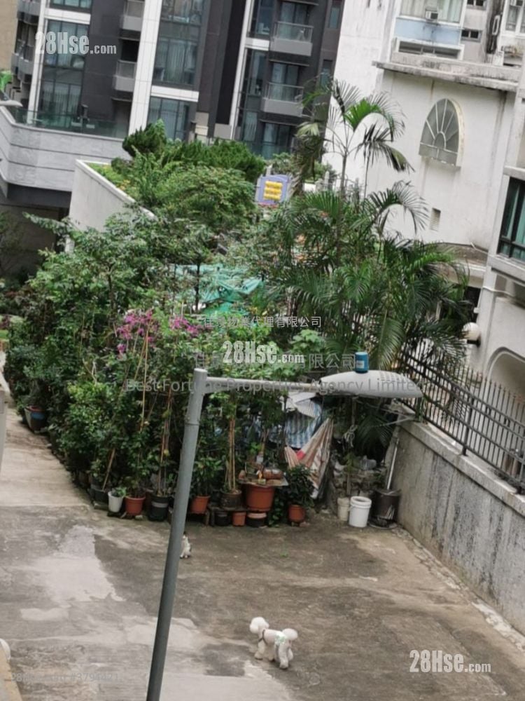 No. 6-7 Tai Pak Terrace Rental 1 Bedroom , 1 Bathroom 305 ft²