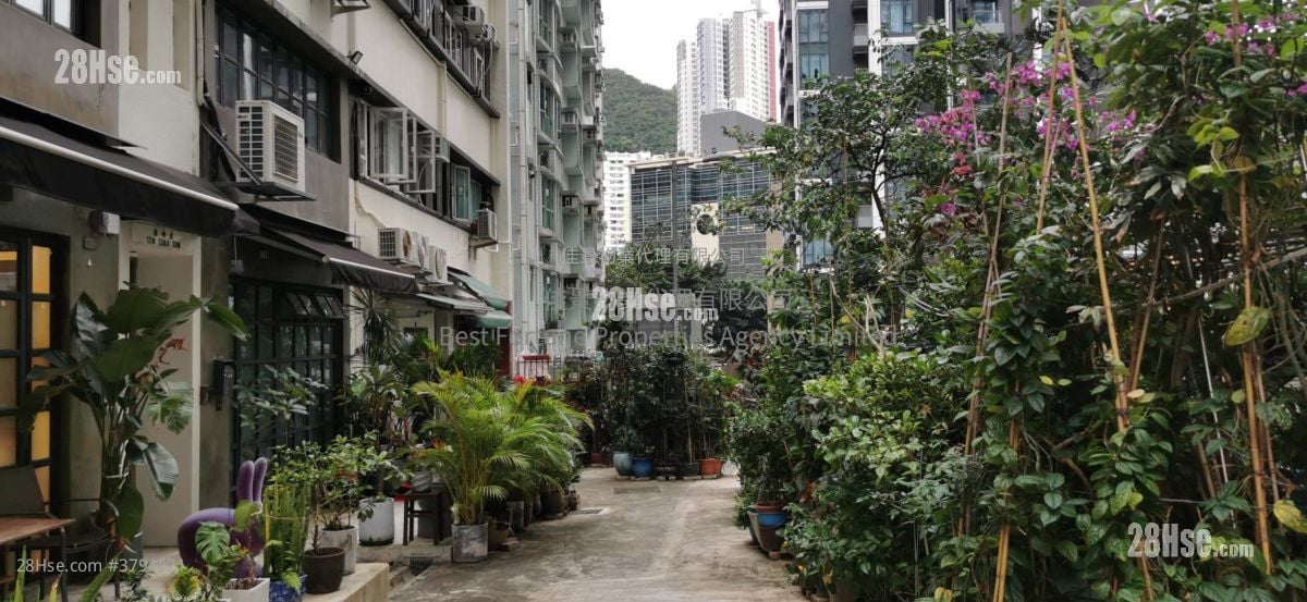 No. 6-7 Tai Pak Terrace Rental 1 Bedroom , 1 Bathroom 305 ft²