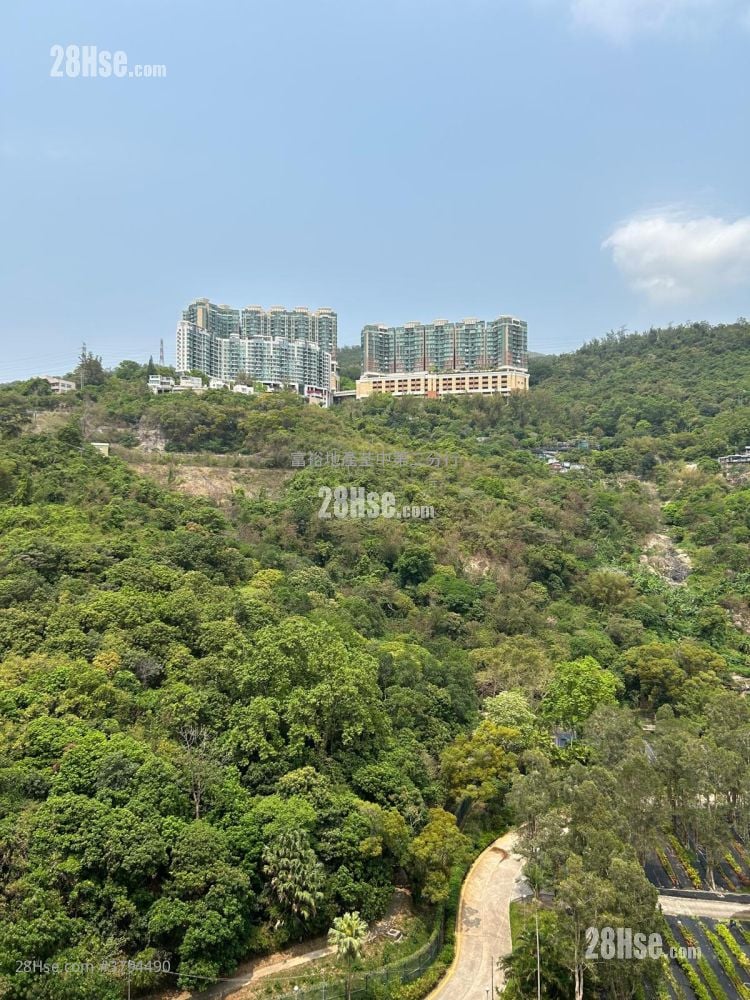 荃湾中心 租盘 2 房 378 平方尺