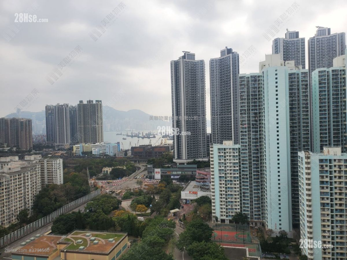 The Prominence Sell 1 Bedroom 335 ft²