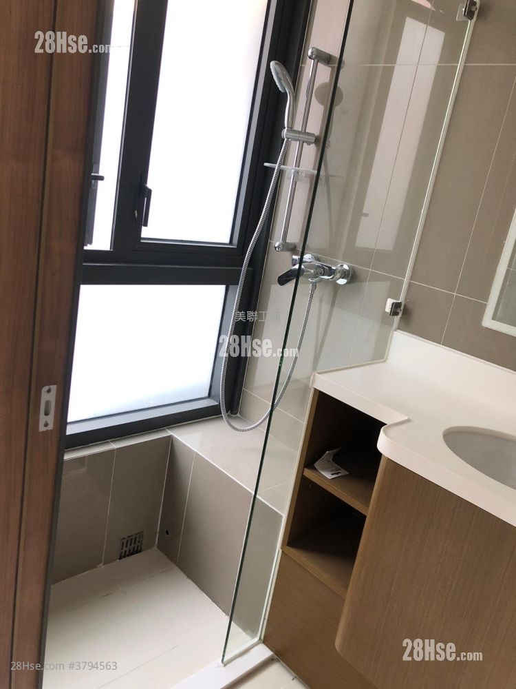 The Icon Sell 1 Toilet