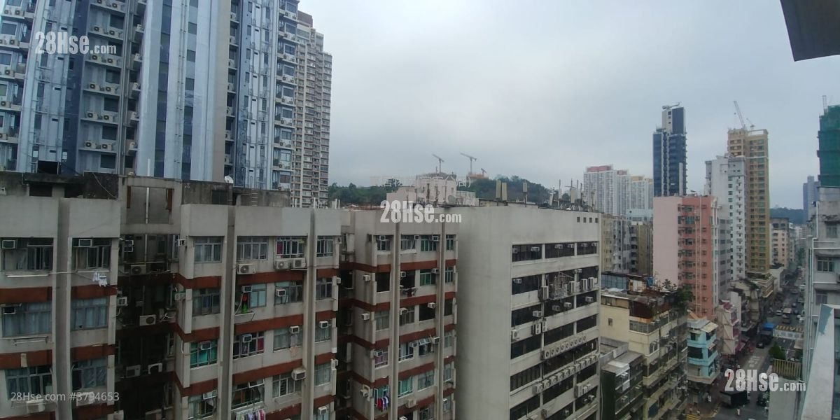 Giovane Sell 1 Bedroom , 1 Bathroom 226 ft²