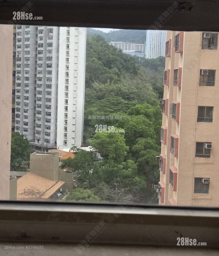 淘大花园 售盘 1 房 , 1 浴室 285 平方尺